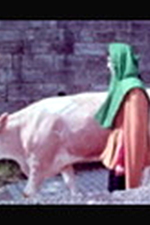 Life in a Medieval Town — Фильм 1965