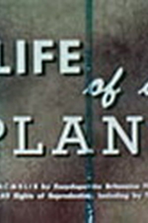 Life Of A Plant