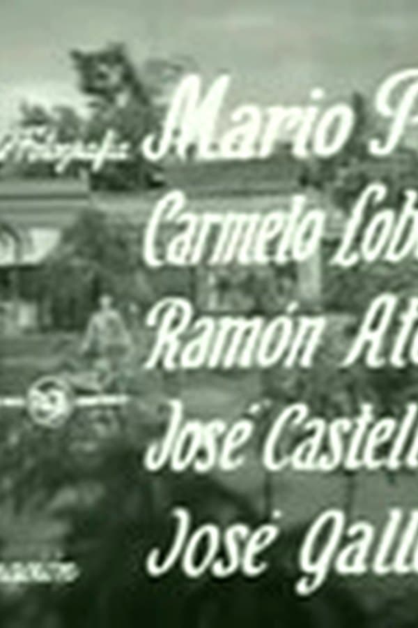 Los Secretos Del Buzon