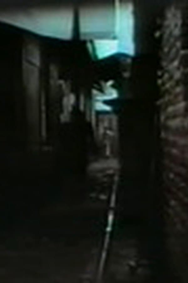 Nosotros Los Monos — Kino 1971