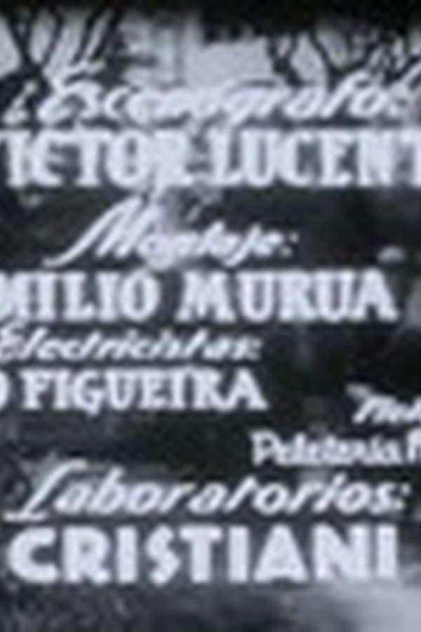 Pajaros Sin Nido
