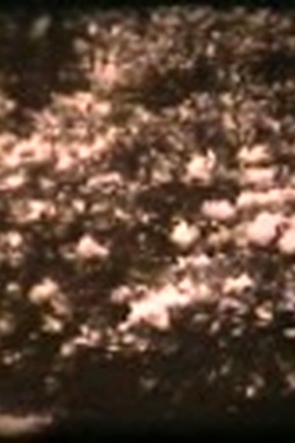Plant Life in the U.S.A
