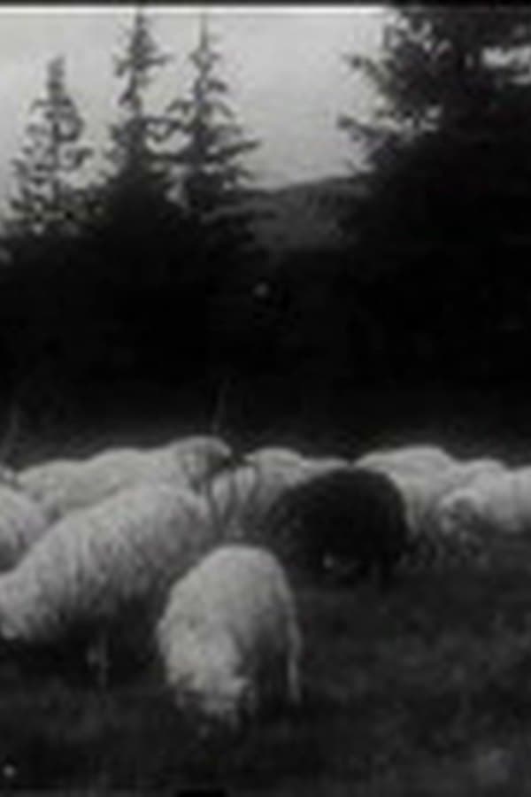 Po horách, po dolách — Kino 1930
