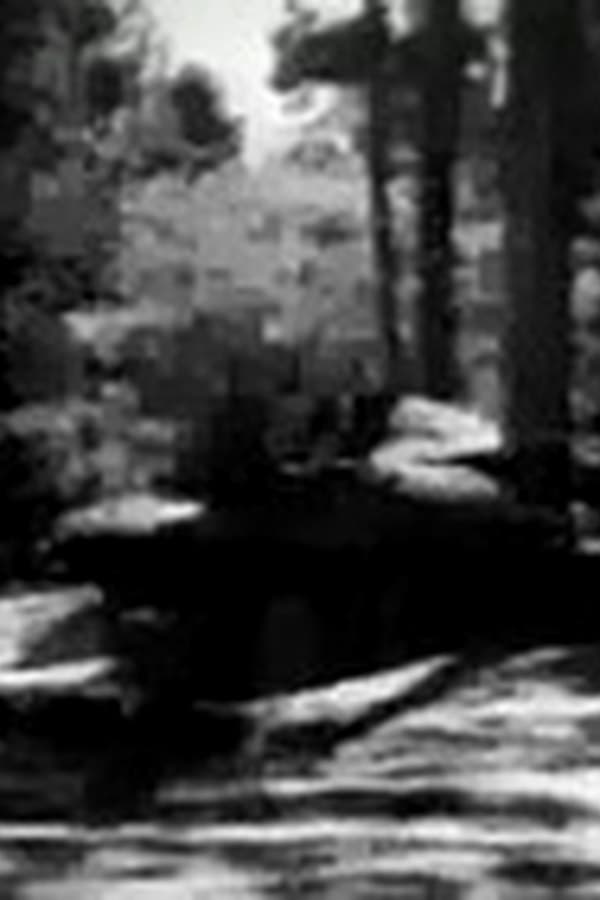 Riders of the Whistling Pines