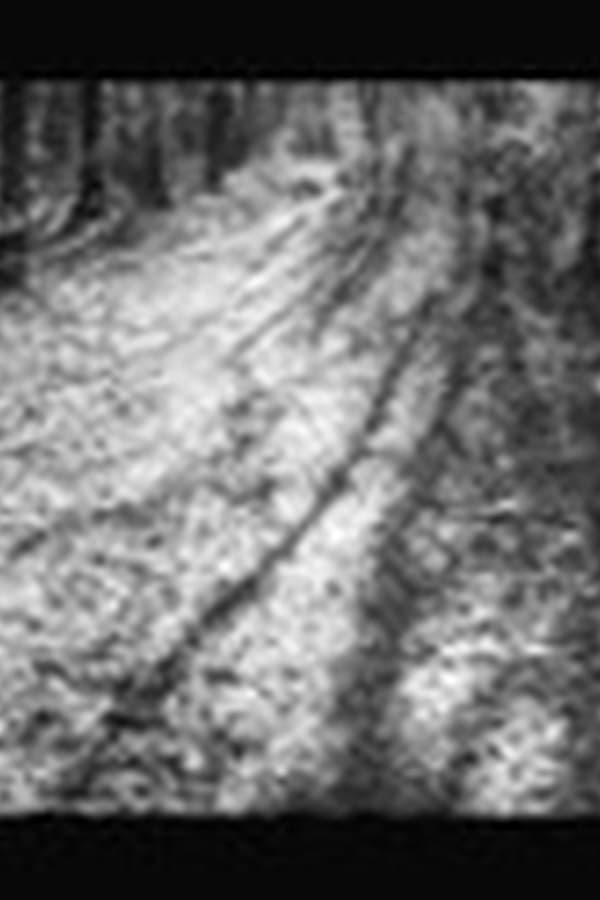 Russia in World War I — Kino 1969