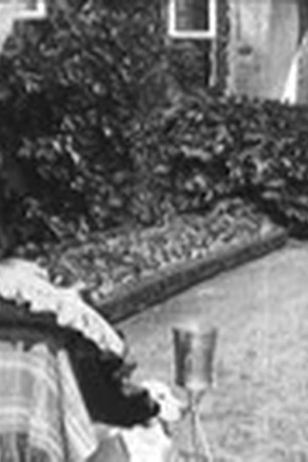 Msterkatten i stvlar — Kino 1918