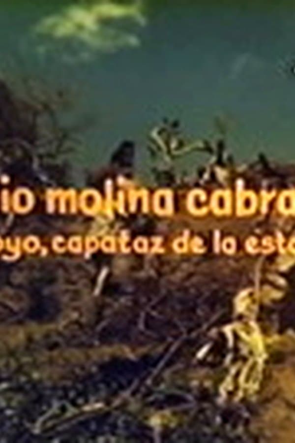 Tacuara Y Chamorro, Pichones De Hombre — Movie 1967