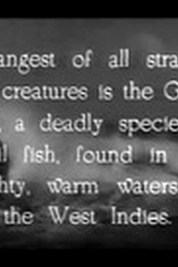 The Sea Bat — Kino 1930