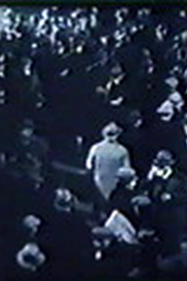 The Social Lion — Movie 1930