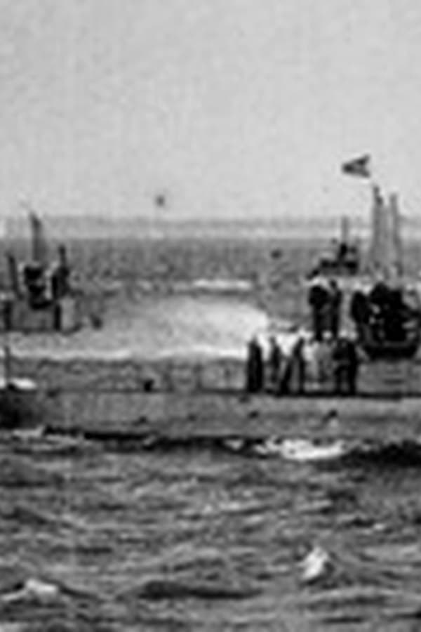 U.S. Navy