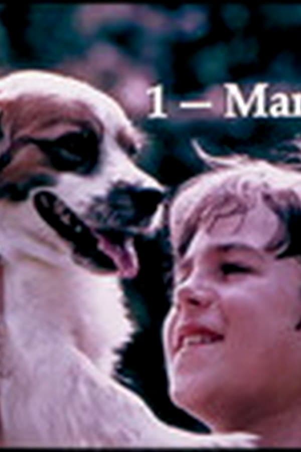 Filmstrip: What is a Mammal? — Kino 1977