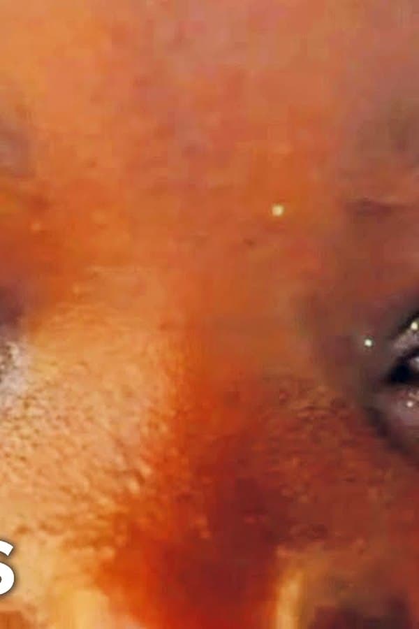 The Courageous Girls of Meru, Kenya (Uplifting Documentary)