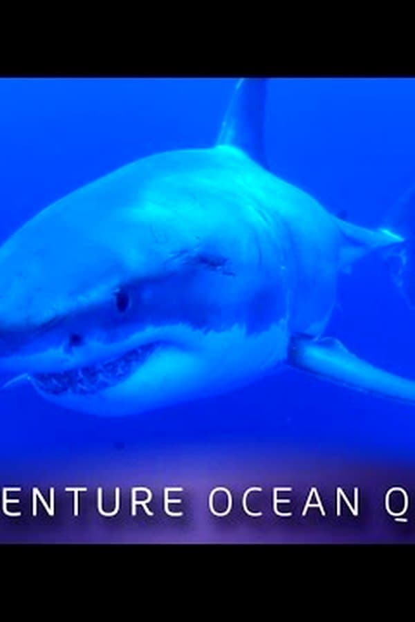► Adventure Ocean Quest - The White Sharks of Guadalupe — Kino
