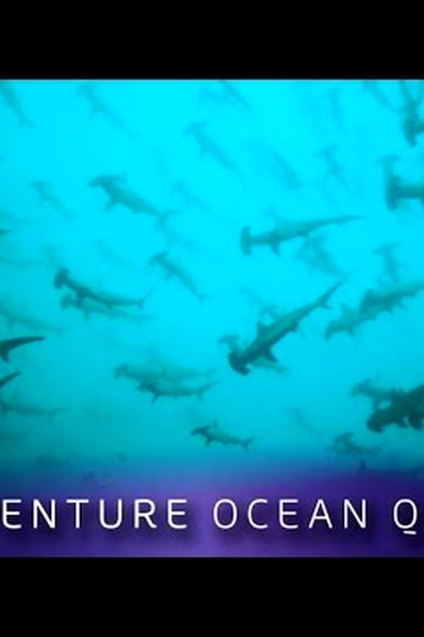 ► Adventure Ocean Quest - Shark Paradise of Polynesia — Kino