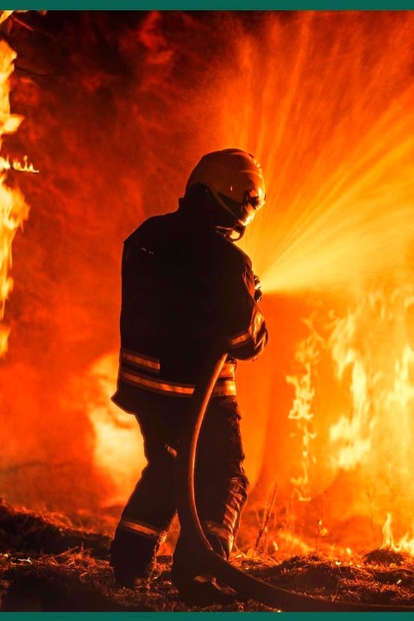 Wildfires Explained: What Makes Them So Dangerous?
