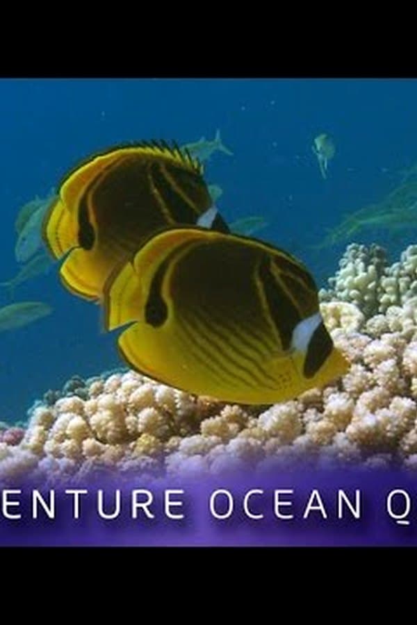 ► Adventure Ocean Quest - 24 Hours on the Reef — Kino