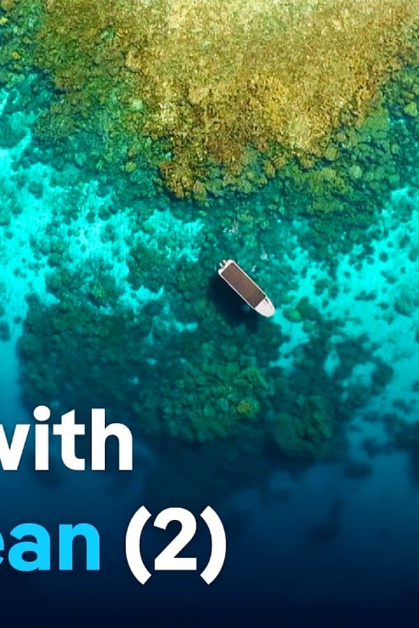 Treasure islands in the Pacific - From the Chatham Islands to Enewetak (2/2) — Kino