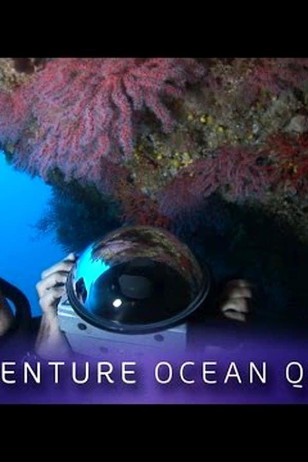 ► Adventure Ocean Quest — Kino