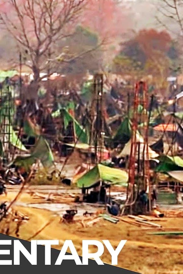 Aftermath of the Fukushima Meltdown & Danakil Desert — Movie