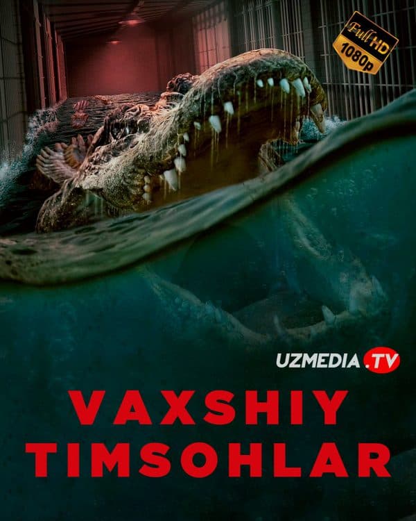 Toshqin — Kino 2023